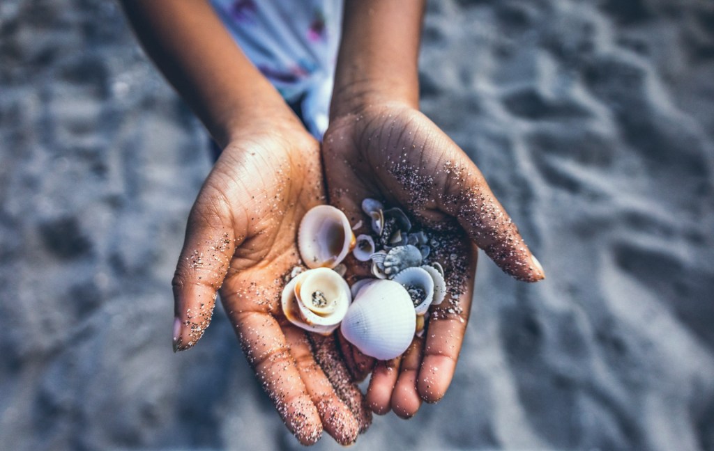 person-holding-white-and-brown-seashells